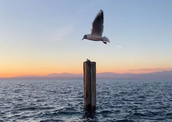 Country Ca' Isidora Casa de Férias